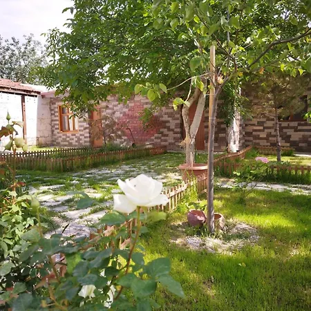 Begam Butik أفانوس