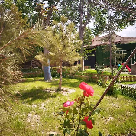 فندق Begam Butik أفانوس