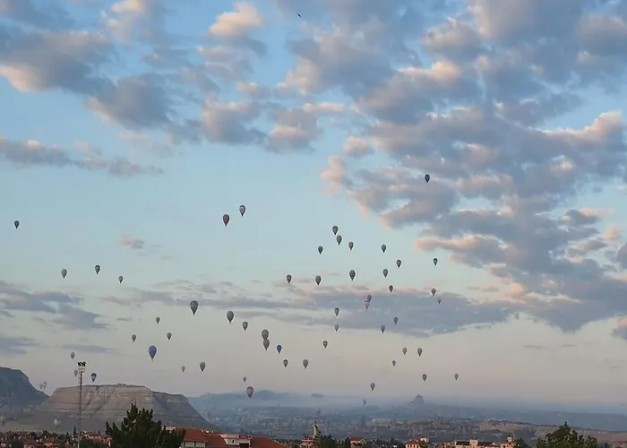 ホテル Begam Butik 3*