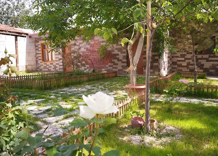 Begam Butik アヴァノス